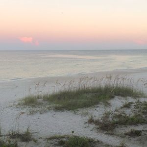 Meet your Posher, Roxanne